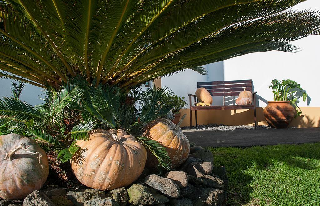 Vila Belgica Bed and Breakfast Horta  Exterior foto